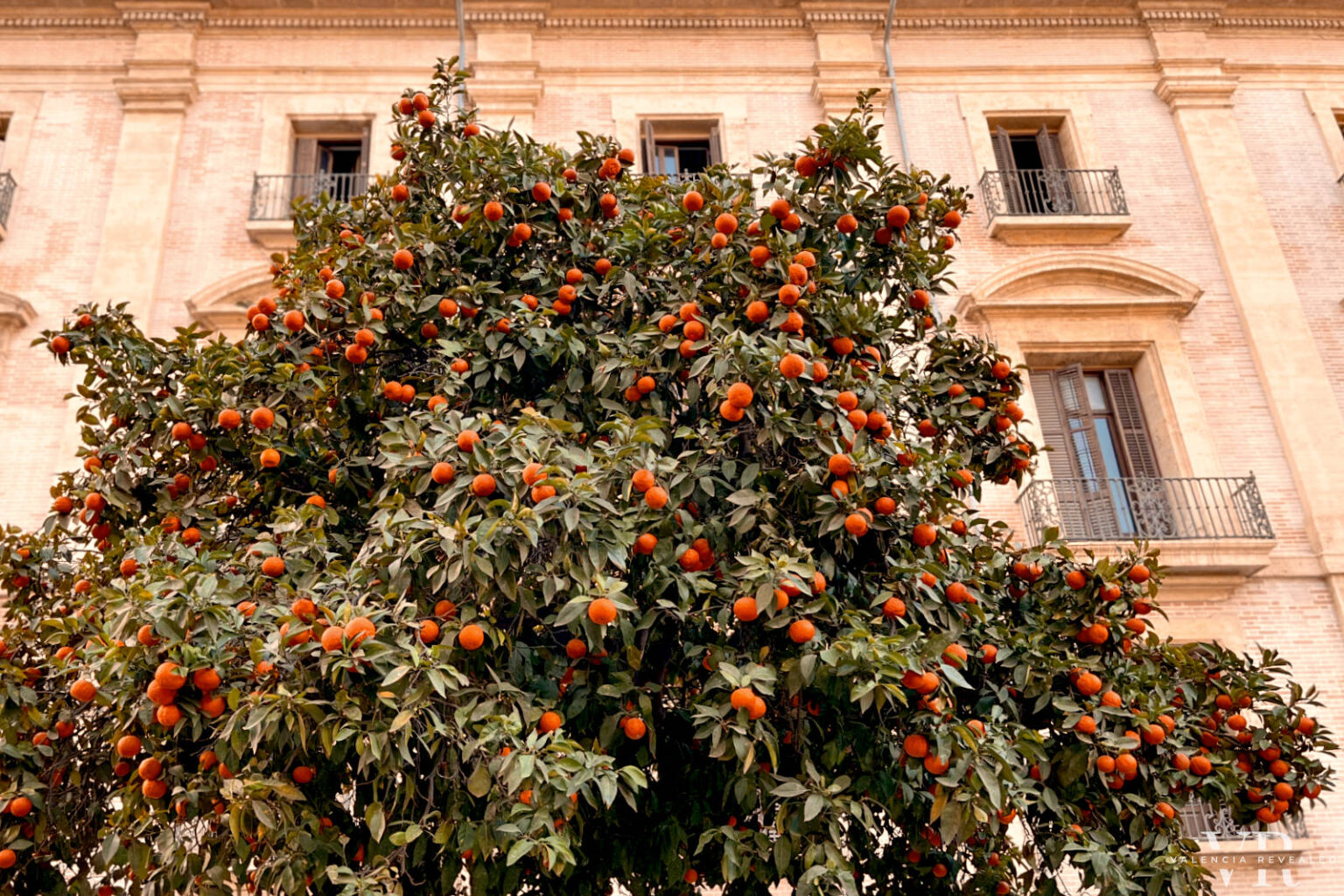 valencia-in-february-weather-things-to-do-what-to-wear